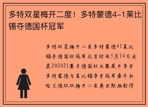 多特双星梅开二度！多特蒙德4-1莱比锡夺德国杯冠军