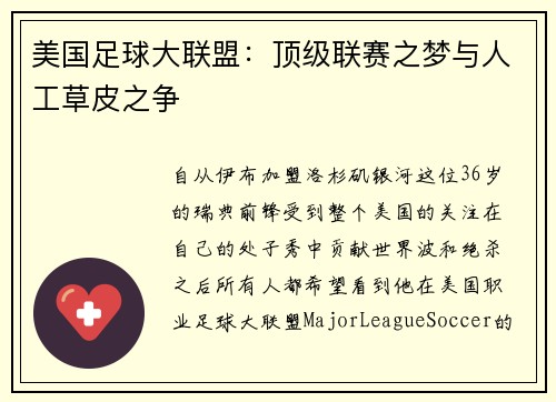 美国足球大联盟：顶级联赛之梦与人工草皮之争