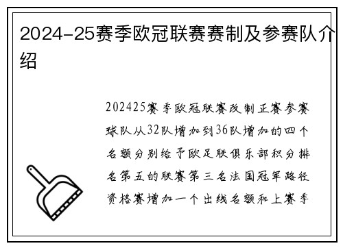 2024-25赛季欧冠联赛赛制及参赛队介绍